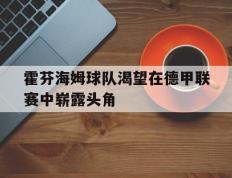 包含霍芬海姆球队渴望在德甲联赛中崭露头角的词条