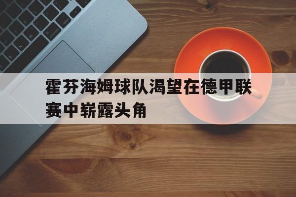 包含霍芬海姆球队渴望在德甲联赛中崭露头角的词条